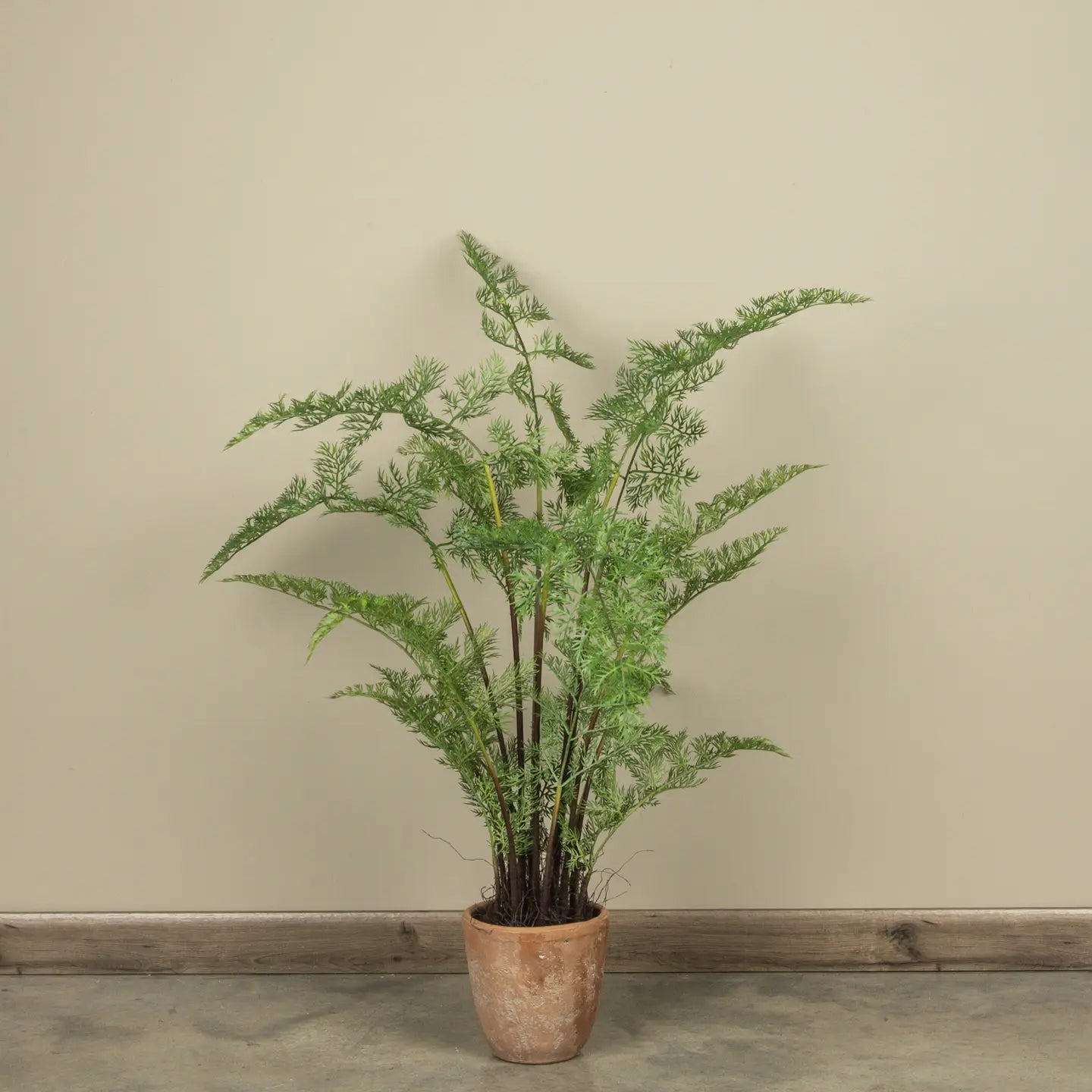 3.5 FT POTTED FOREST FERN