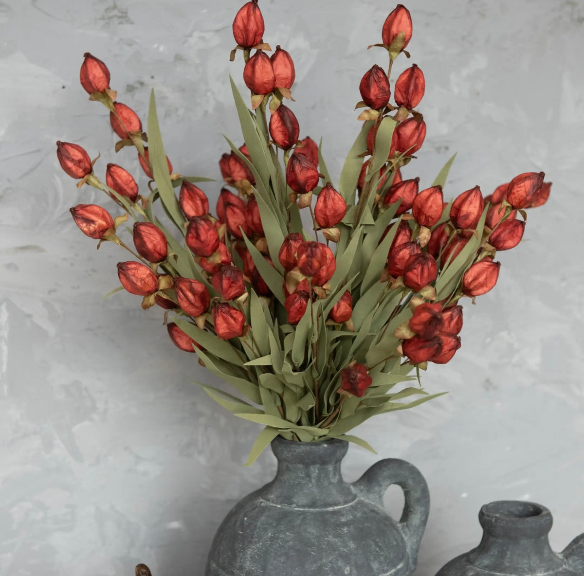 THE BURGUNDY CHINESE LANTERN BUSH