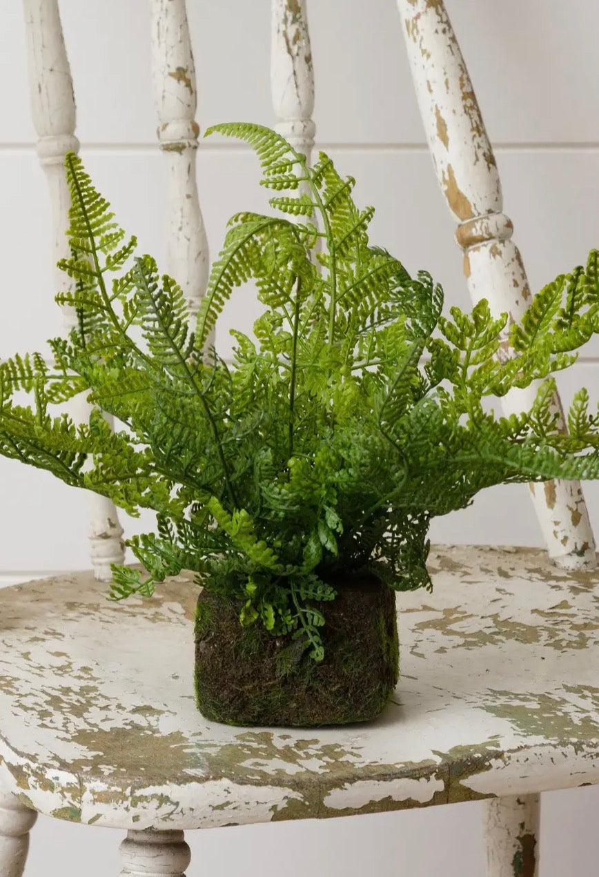 MOSSY FAUX FERNS