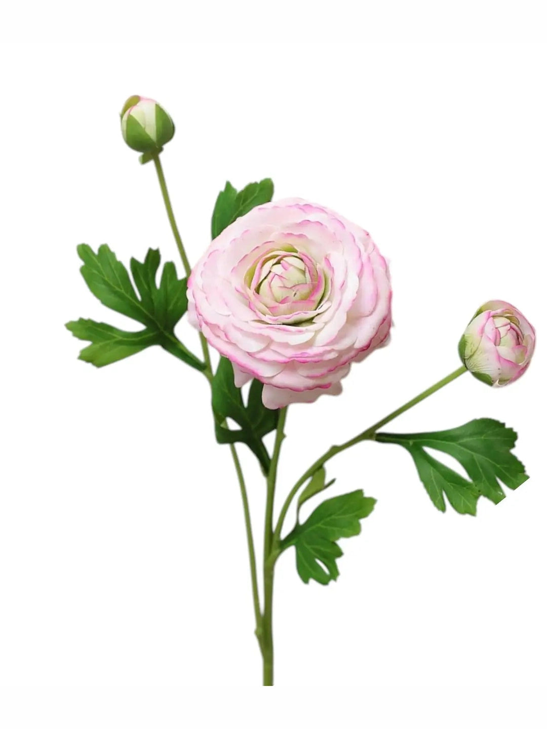 18" REAL TOUCH RANUNCULUS FLOWER
