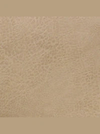 THE EVERLY ORGANIZER FLAP CROSSBODY - tan