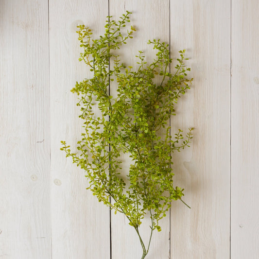 SPRAY GREENERY BABY TEARS