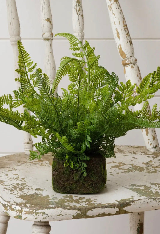 MOSSY FAUX FERNS