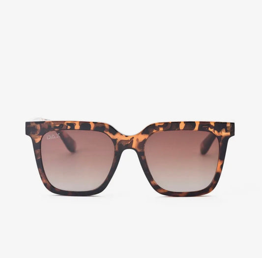 DAX DANI OVERSIZED SQUARE SUNNIES - brown cheetah