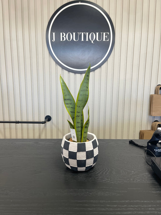 BLACK & WHITE CHECKERED PLANTER