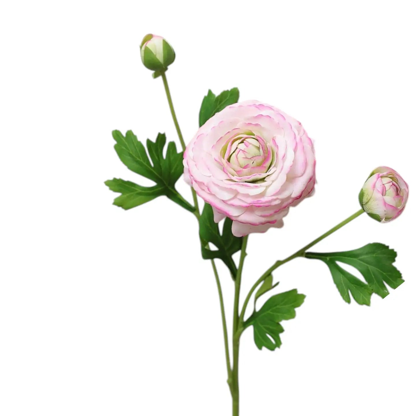18" REAL TOUCH RANUNCULUS FLOWER