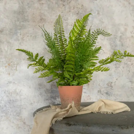 15" POTTED FERN